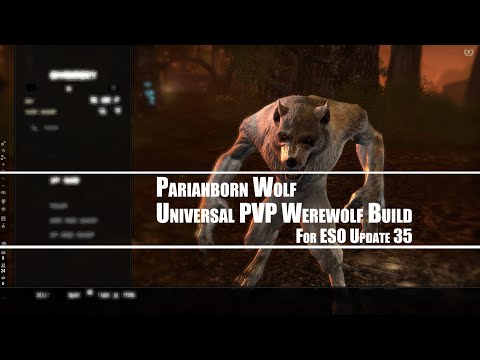 Pariahborn Wolf Universal Werewolf PVP build - ESO Werewolf PVP Build Video for Update 35