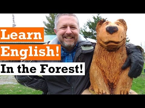 Let's Learn English in the Forest in the Fall (Autumn) | English Video with Subtitles