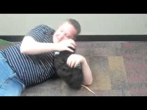 Jamie Mac Cutest Puppy Ever