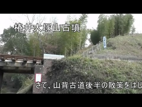 仏教学科 京都山城　山背古道を訪ねる2 (1)