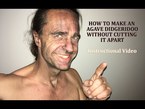 How to make Agave Didgeridoos by hollowing them out without cutting them apart