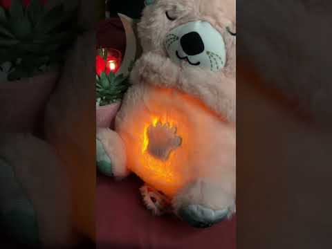 Stuffed Musical Teddy Toy