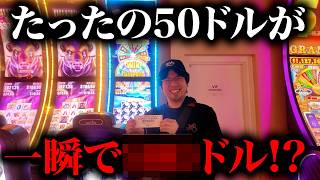 【バカ勝ち】50ドルが衝撃の結末に ついにティンバーウルフで勝ちました！