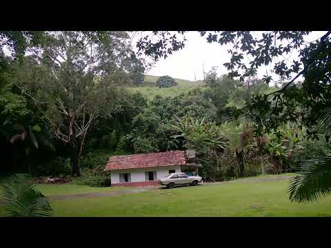 SOB O SANGUE TEU. 289 - LEGENDADO - MIZAEL DE MOURA