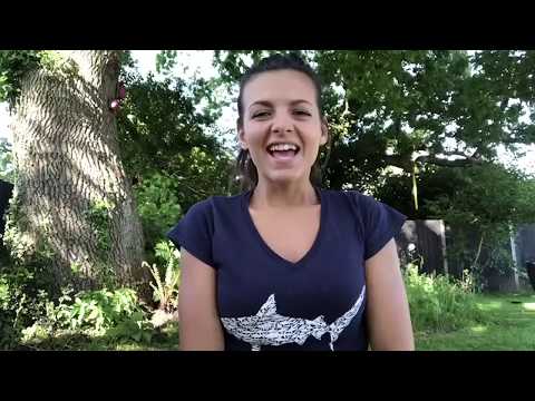 WORLD OCEAN DAY - INTRODUCTION