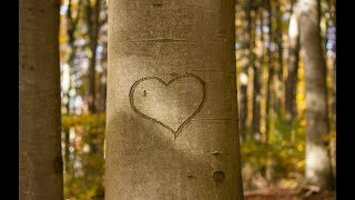 L'UNIVERS DE BRESLEV