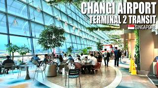 Changi Airport Terminal 2 - Transit Area Walking Tour - 2026 Best Airport - Singapore 🇸🇬 [4K]