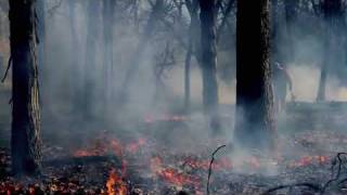 Burn It Back (Recycled Air - The Postal Service)