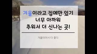 [카드뉴스]겨울이 더 좋은 여행지는?