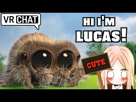 HI, I'M LUCAS! - VRCHAT Video