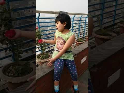 Rudaina sings...  #cutebaby #babygirl #babydance #babyplaying 