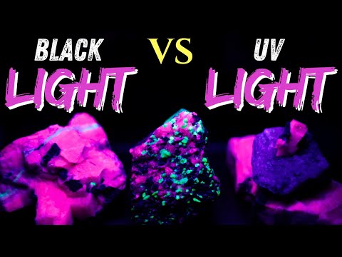 Which is better? Black Light or UV Light for gems and minerals? Fluorescent Rockhounding! #fun
