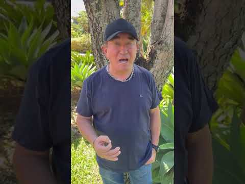 Amado Batista Chamada de Show Nortelândia Mato Grosso - 2026