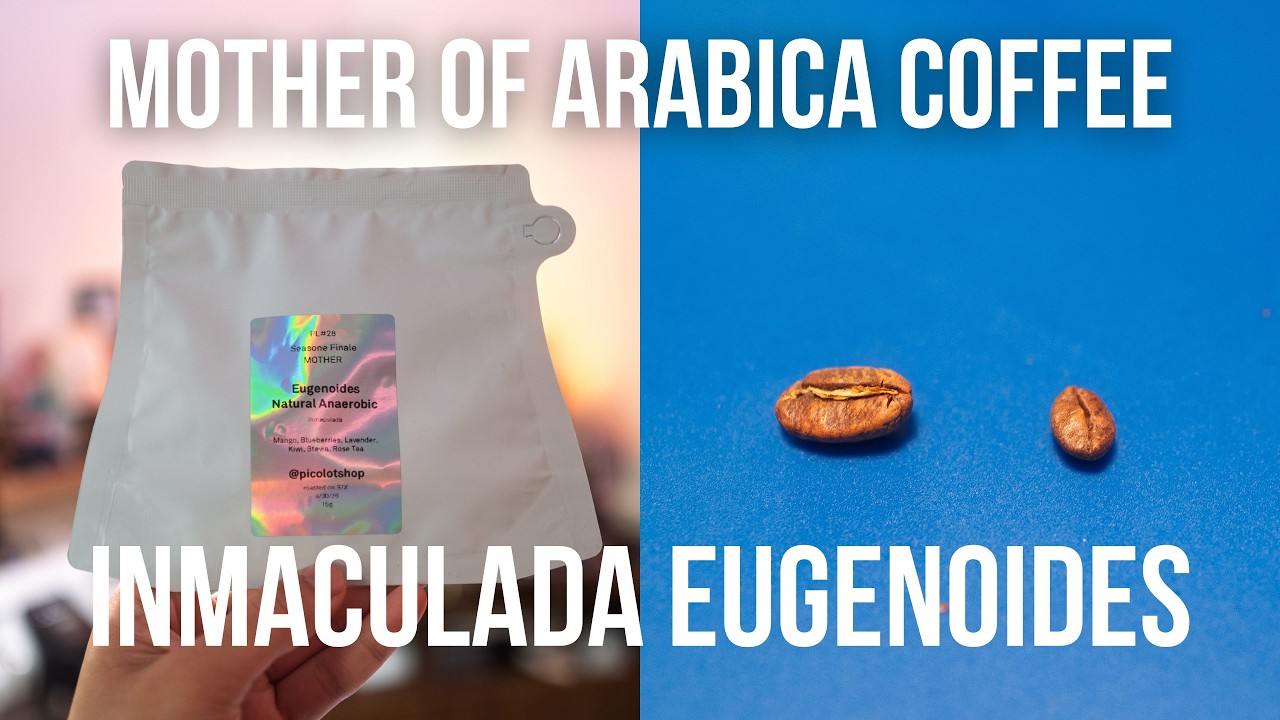 Absolutely insane coffee - Colombia Eugenoides