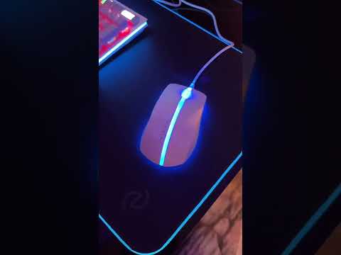 Sorteo #13AniversarioNextN para BlueSky. ¡En juego un monitor gaming Philips Evnia curvo de 27″!