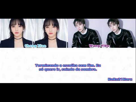 Cheng Xiao & Wang Yibo - The Shadow of The Shark [Legendado]