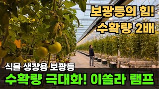 식물 생장용 보광등의 신의 한 수! 스마트팜 수확량을 극대화하는 이쏠라 고압나트륨 램프