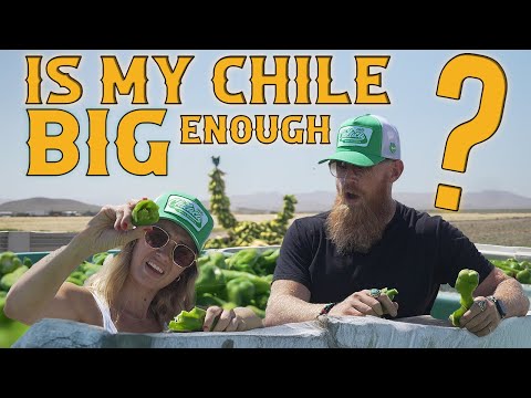 IS MY CHILE BIG ENOUGH?