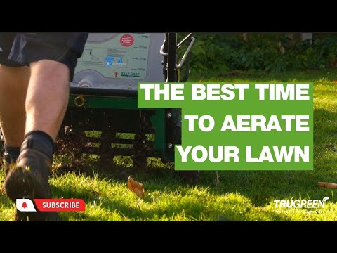 芝生のエアレーションに最適な時期はいつですか?
