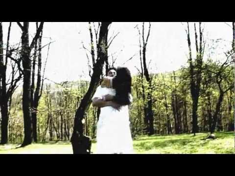 Petr Muk - V zahradách skleněných růží