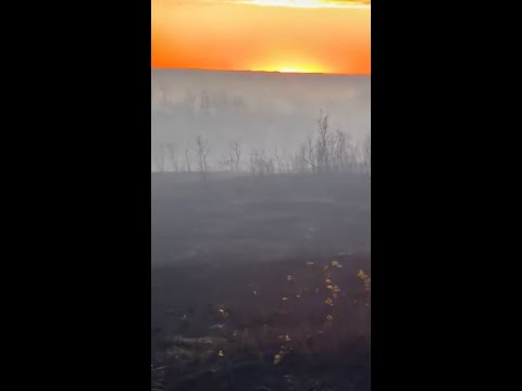 Four service members killed after fire at Canadian base