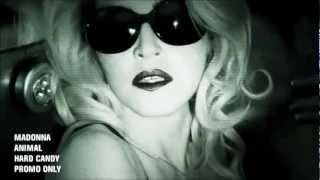 Madonna - Animal [Subtitulado]