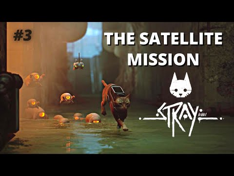STRAY: part 3 || The Satellite Mission