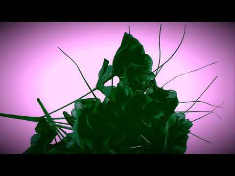 Sox Chasin “Morning Truth”