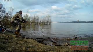 Рыбалка на язя в апреле