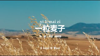 一粒麦子 A kernel of Wheat | PinYin Worship Song