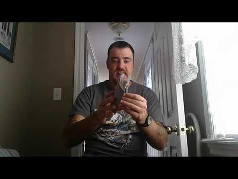 Bob Seger - Like a Rock Album Review