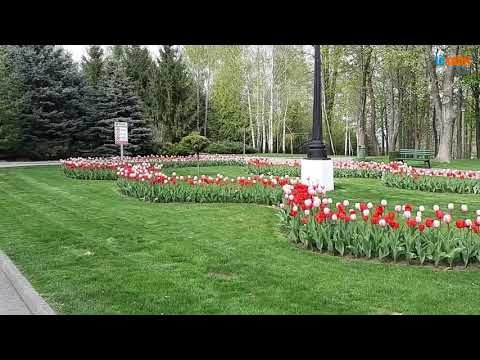 Un minut prin Parcul Copou din Vaslui  ...