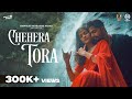Chehera Tora Full Song Haran Subasis Prativa HumaneSagar AsadNizam PuspakParida Odia
