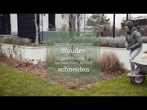 Stauden schneiden im Winter