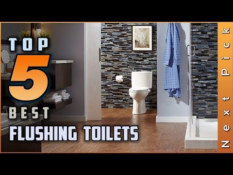 Top 5 Best Flushing Toilets Review in 2024