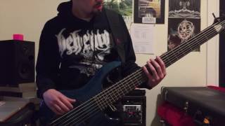 Somi - Ginger Me Slowly (Bass Cover)