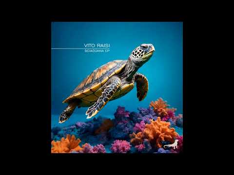 Vito Raisi - Dancefloor (Original Mix)