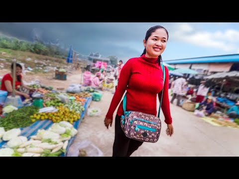 Cambodian Girl Gives Me a Tour of Her Village Market Video