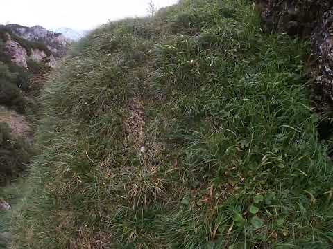 VALEA ADANCA LA INTERSECTIA CU BRAUL MARE AL MORARULUI nemarcate prin Bucegi