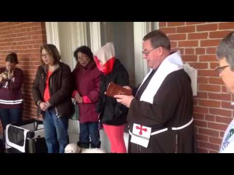 Blessing of Animals