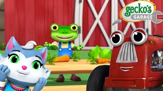 Compost Explosion! 🚜 Trevor's Farm Mess | Gecko's Garage 🚚 | Cartoons For Kids