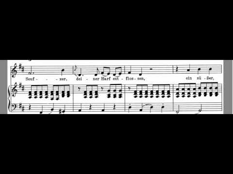 An Die Musik Accompaniment Schubert  High Key D Maj