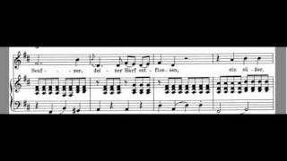 An Die Musik Accompaniment Schubert  High Key D Maj