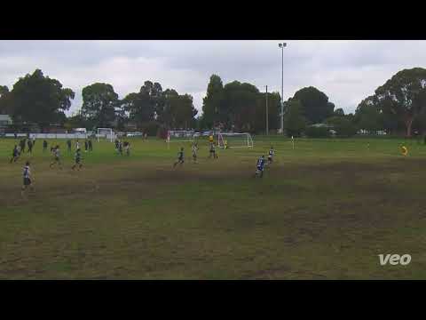 2023 FFV State League 4 North | RD11 | Men's Reserves | Brunswick Zebras FC vs Thornbury