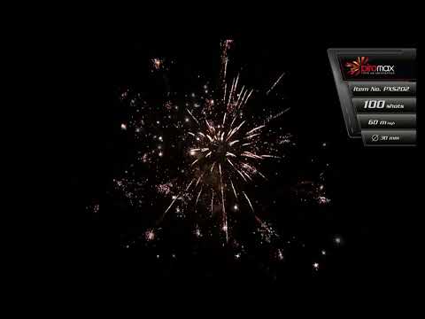 Zestaw wyrzutni PXS202 100 SHOTS FOR FUN