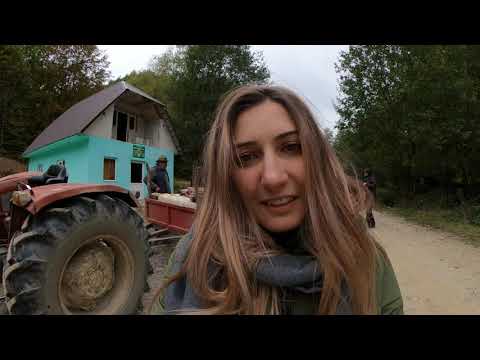 Plimbarea cu tractorul Herculane  -Mehadica