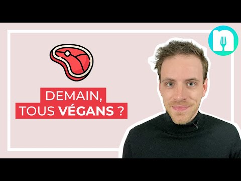 FAUT-IL ARRÊTER LA VIANDE ROUGE POUR MANGER SAIN ? Le scandale des menus sans viande à Lyon.