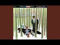 Peter and the Wolf, A Musical Tale for Children, Op. 67: Introduction