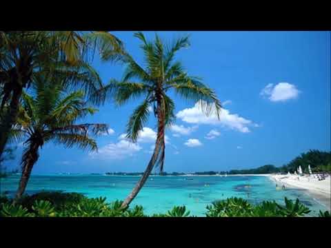 Cane Garden Quartet   'Como A Aguia(lounge)