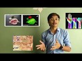 Hyperspectral Image Reconstruction From RGB Images UCNN D Leadingindia Ai Group 99